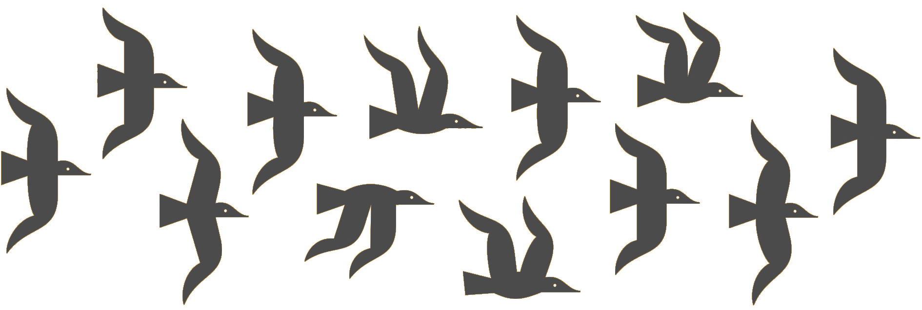 A group of 12 clipart birds flying towards the right
